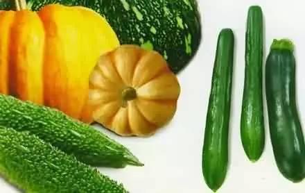 大家都在什么网吃瓜,揭秘网络“吃瓜”现象的全民狂欢